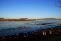 Coastal path to Whiteabbey, beside Belfast lough!