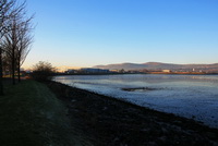 Coastal path to Whiteabbey, beside Belfast lough!