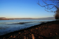 Coastal path to Whiteabbey, beside Belfast lough!