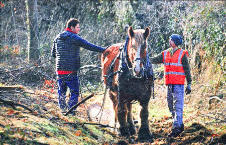 The BBC's Matt Baker tries his hand at Horse Logging at Minnowburn, following a tutorial from Stephen Donaghy as part of BBC's Countryfile programme which will be broadcast on Sunday.