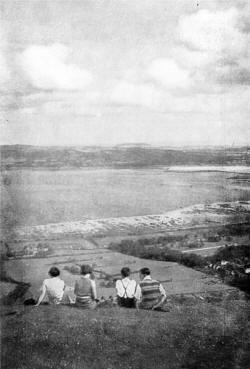 BELFAST LOUGH FROM ABOVE BELLEVUE GARDENS