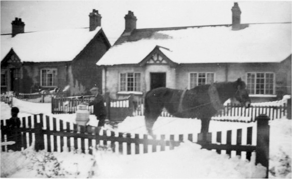 Delivering milk Warren Park Avenue circa 1932